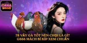 78 vảy gà tốt nên chọi
