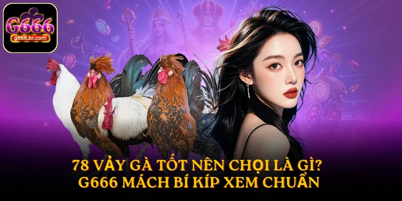 78 vảy gà tốt nên chọi