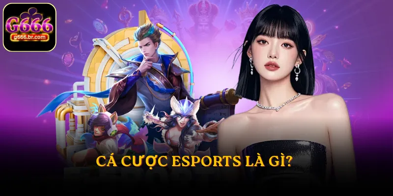 Cá cược Esports là gì?