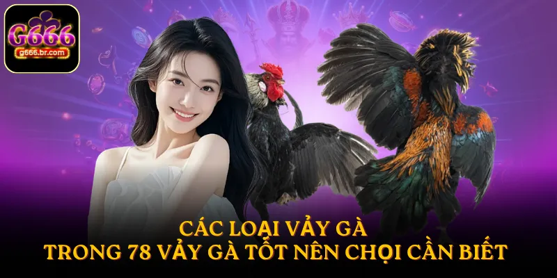 Các loại vảy gà trong 78 vảy gà tốt nên chọi cần biết