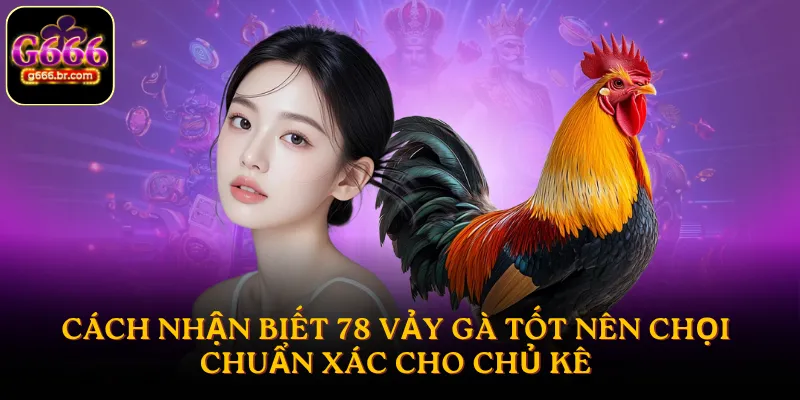 Cách nhận biết 78 vảy gà tốt nên chọi chuẩn xác cho chủ kê