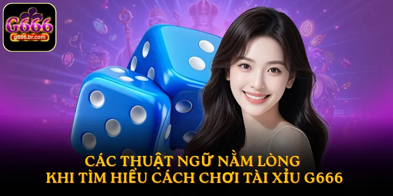 Các thuật ngữ nằm lòng khi tìm hiểu cách chơi Tài Xỉu G666