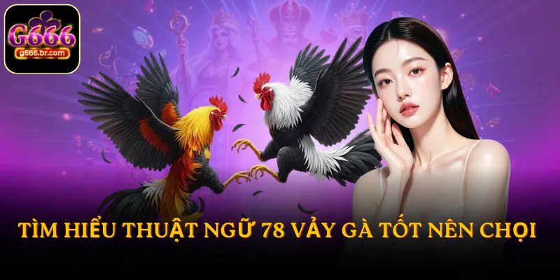 Tìm hiểu thuật ngữ 78 vảy gà tốt nên chọi